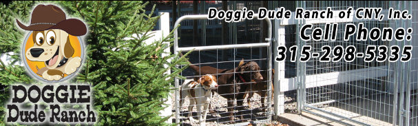 Doggie Dude Ranch website example