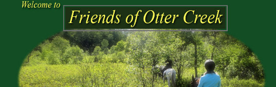 Friends of Otter Creek website example