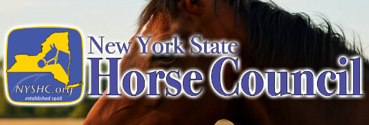 New York State Horse Council (NYSHC) website example