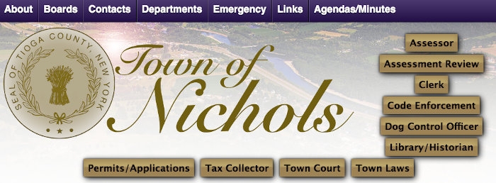 Town of Nichols website example